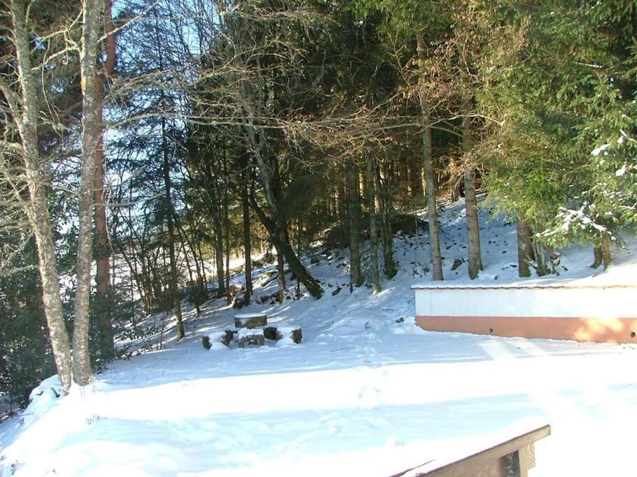 Maison D'Altitude Avec Vue Panoramique A ジェラールメ エクステリア 写真