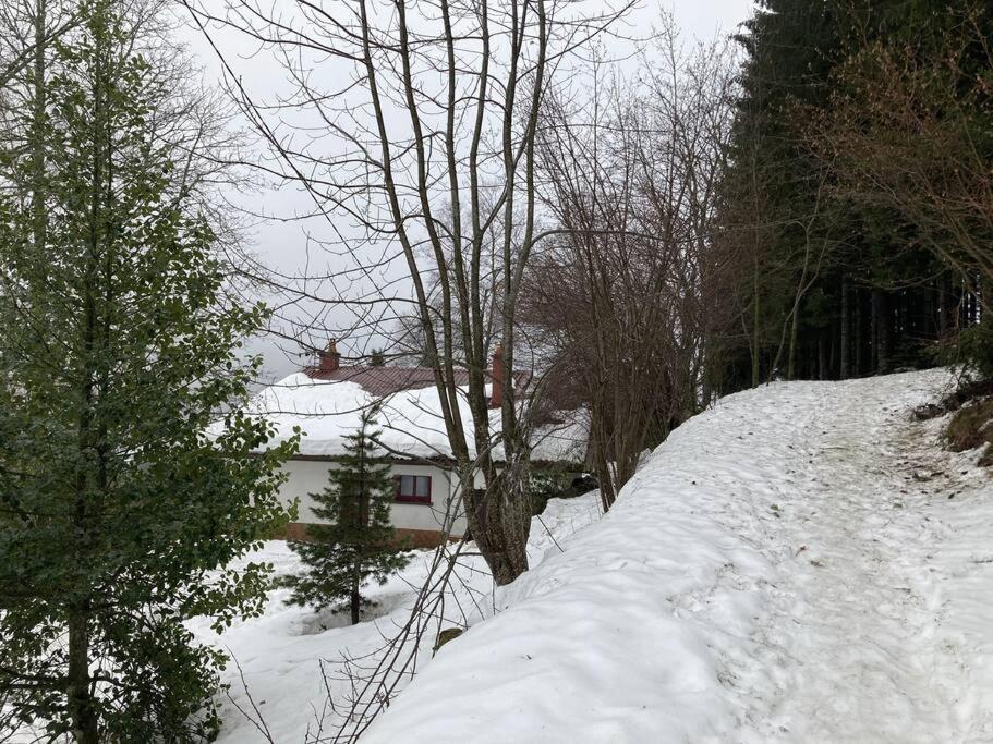 Maison D'Altitude Avec Vue Panoramique A ジェラールメ エクステリア 写真